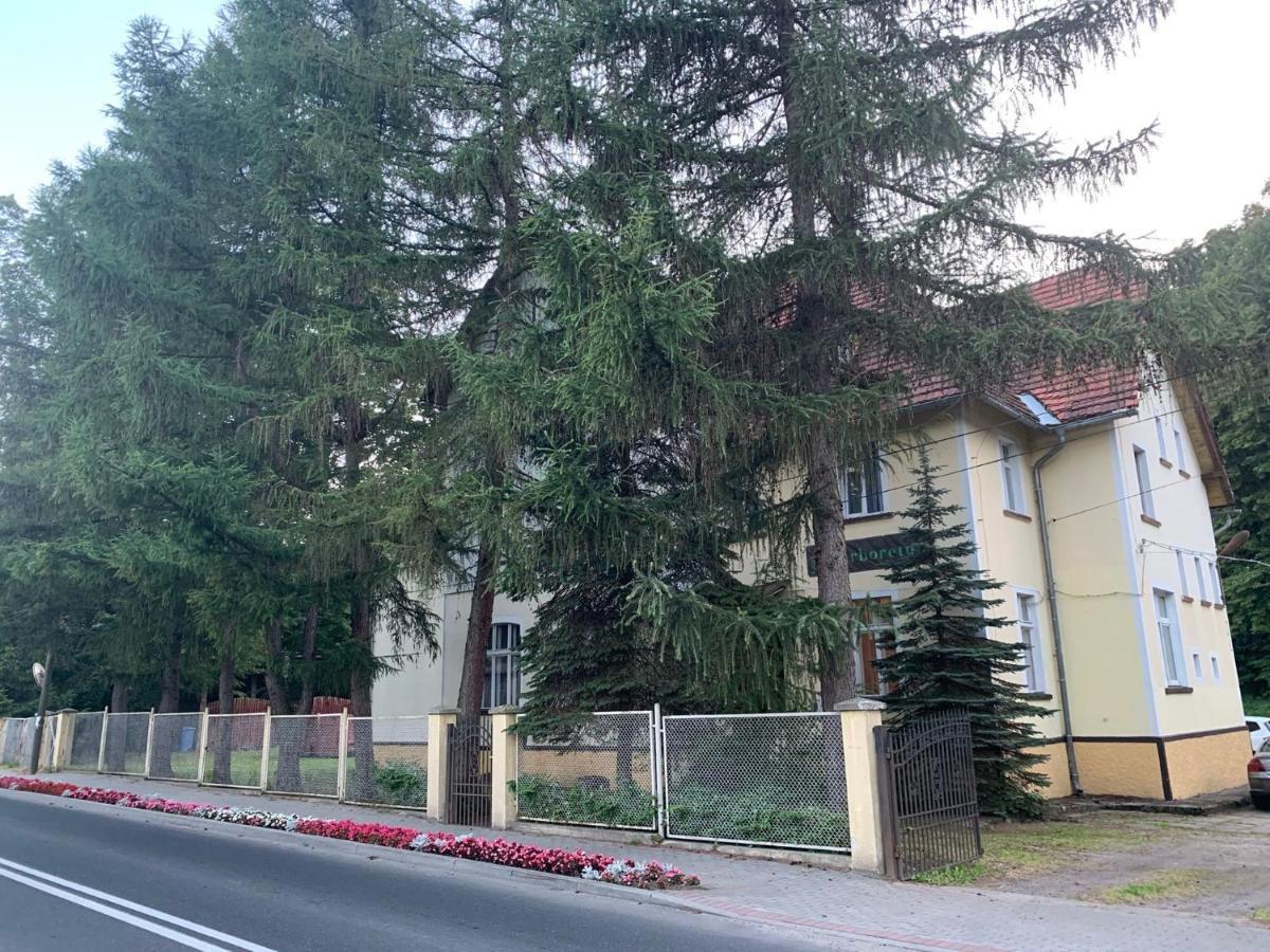 Świeradów-Zdrój Arboretum מראה חיצוני תמונה